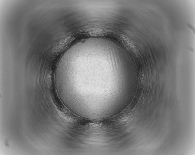 X0000095510690200712281438