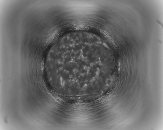 X0000095510691200712281438