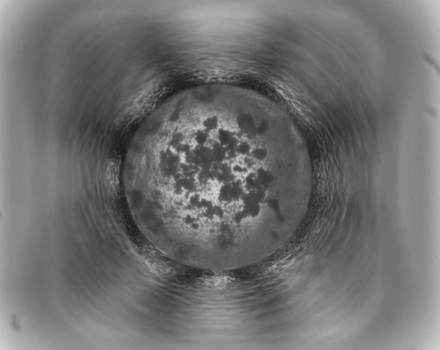 X0000095510695200712281438