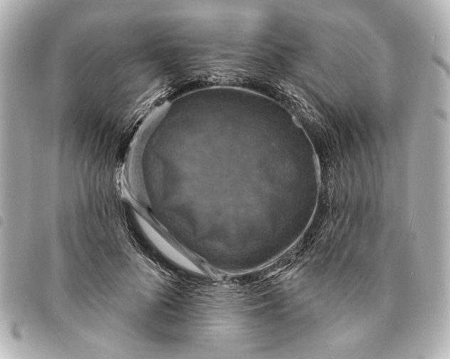 X0000095510696200712281438