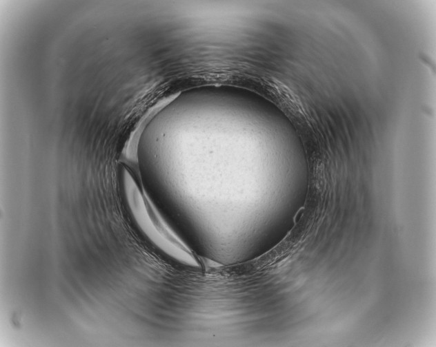 X0000095510697200712281438