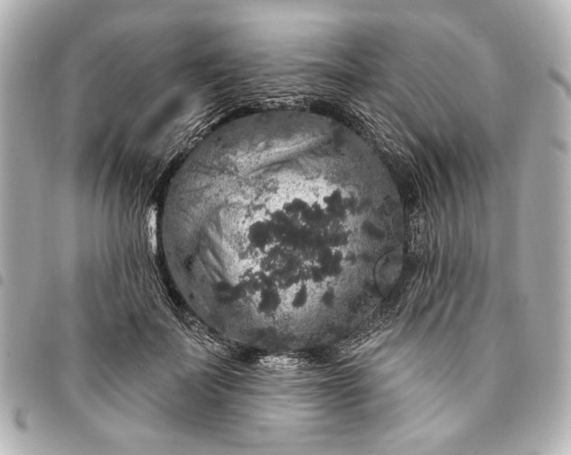 X0000095510699200712281438