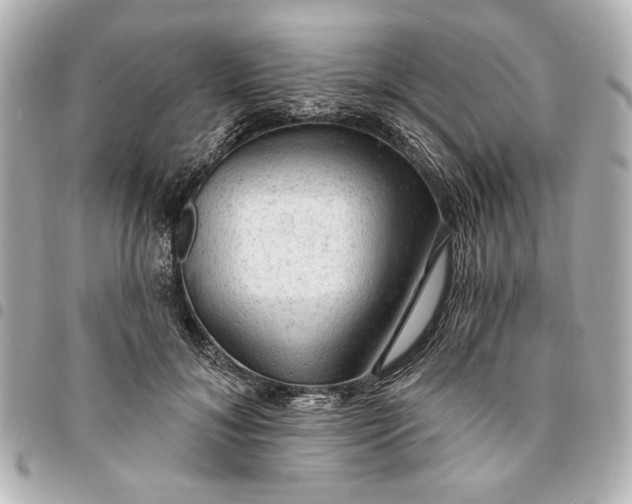 X0000095510700200712281438
