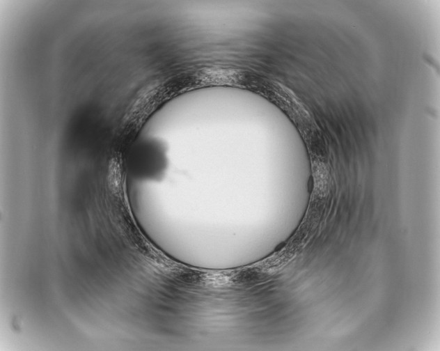 X0000095510701200712281438