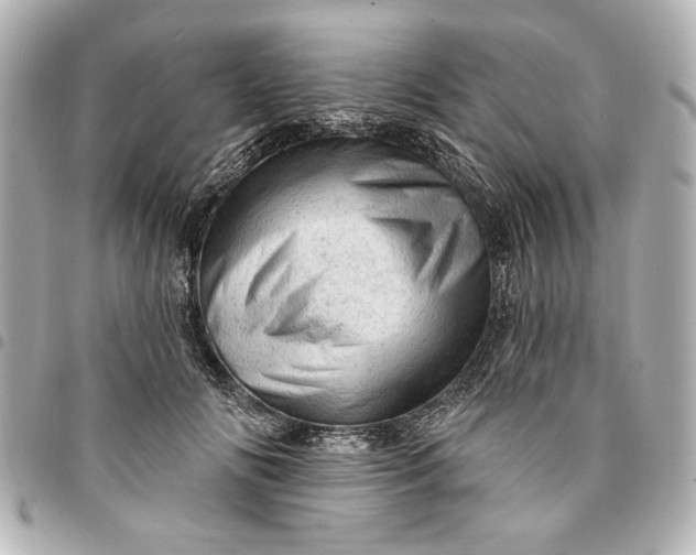 X0000095510702200712281438