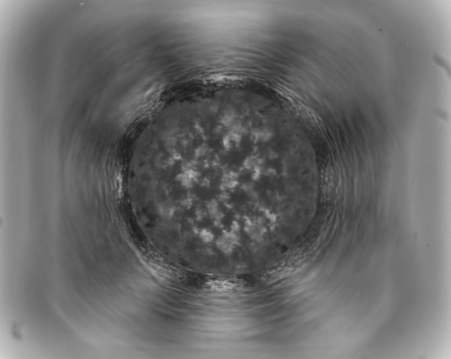 X0000095510703200712281438