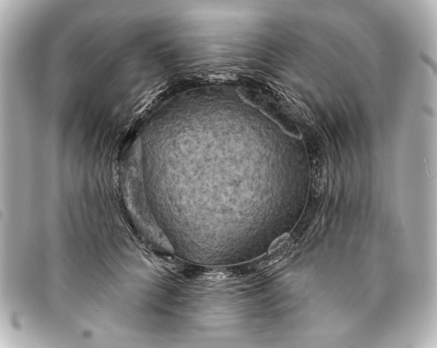 X0000095510704200712281438