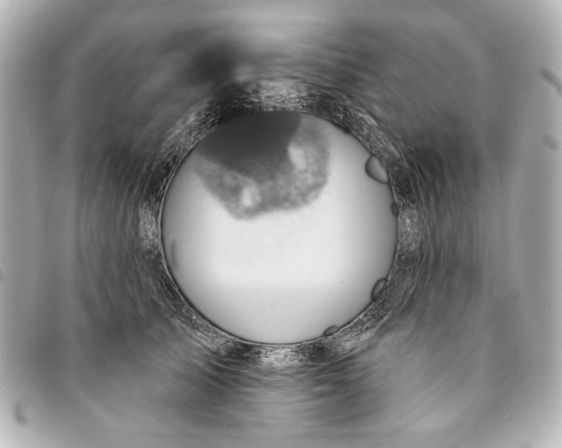 X0000095510705200712281438