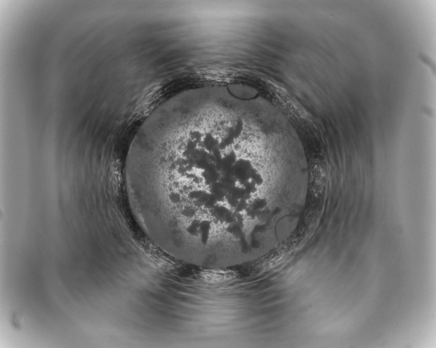 X0000095510707200712281438