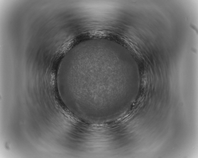 X0000095510708200712281438