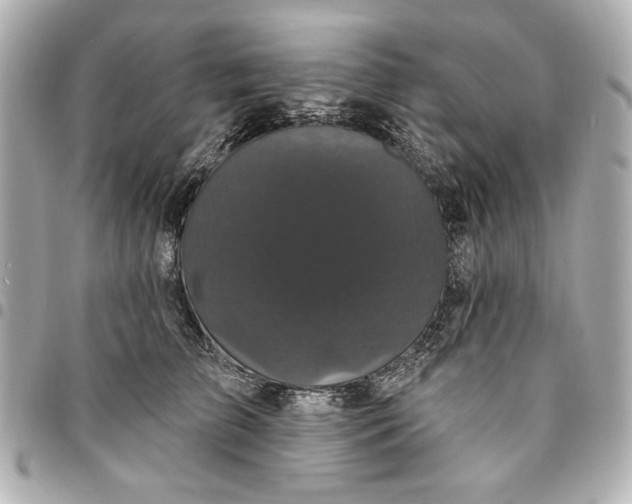 X0000095510709200712281438