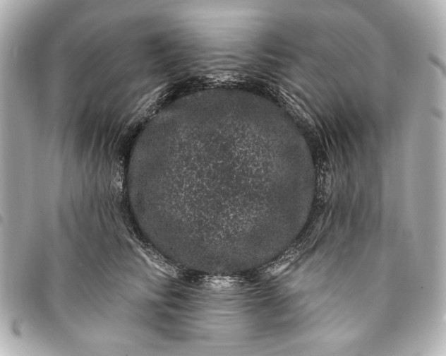 X0000095510710200712281438