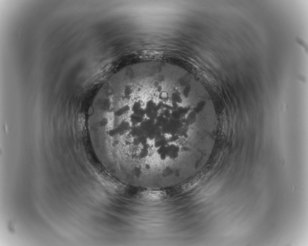 X0000095510711200712281438