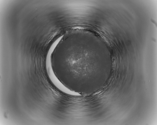 X0000095510712200712281438