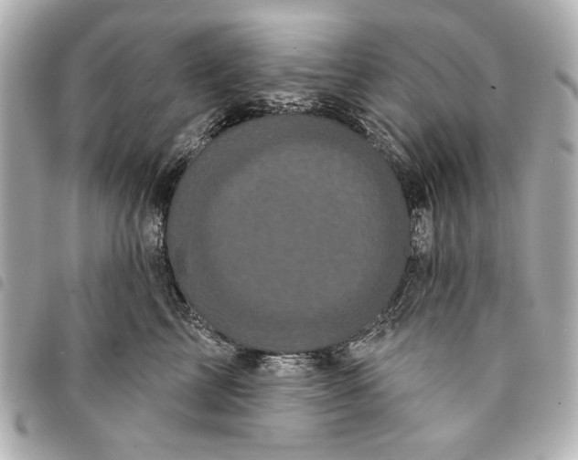 X0000095510713200712281438