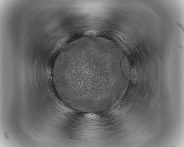 X0000095510714200712281438