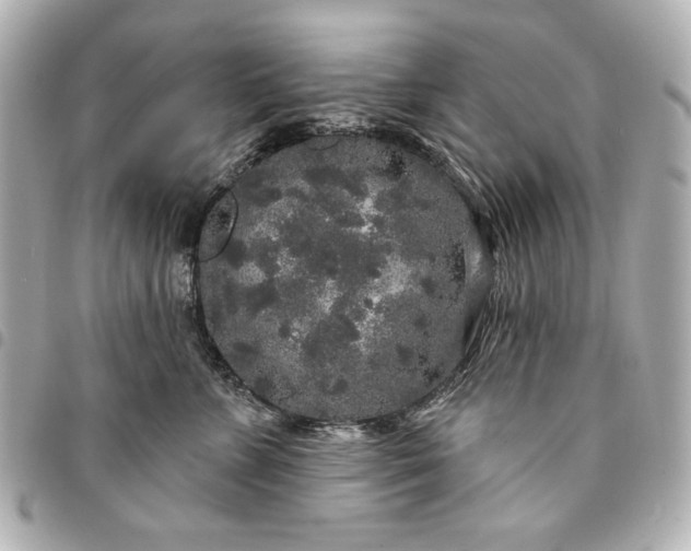 X0000095510715200712281438
