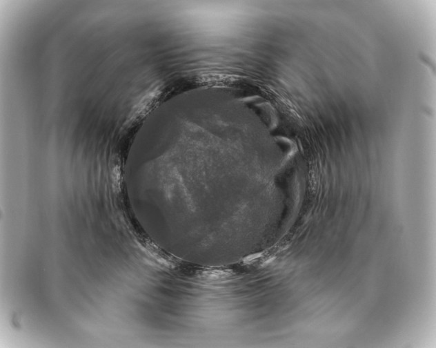 X0000095510716200712281438