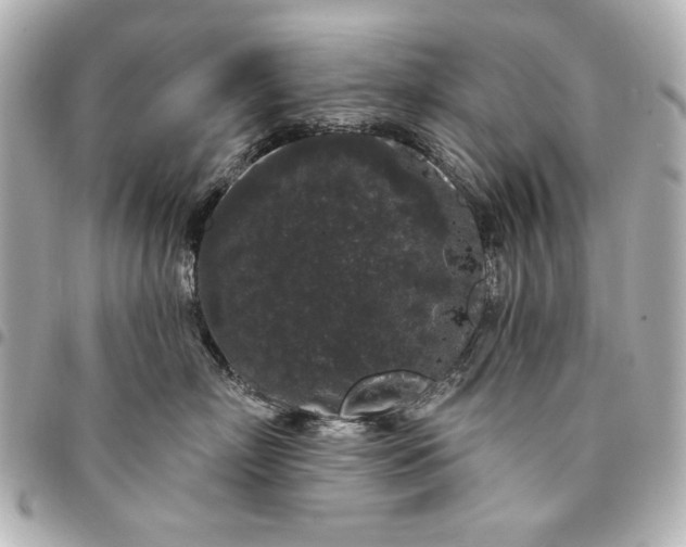 X0000095510718200712281438