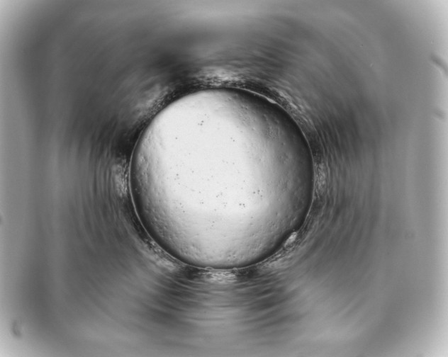 X0000095510719200712281438