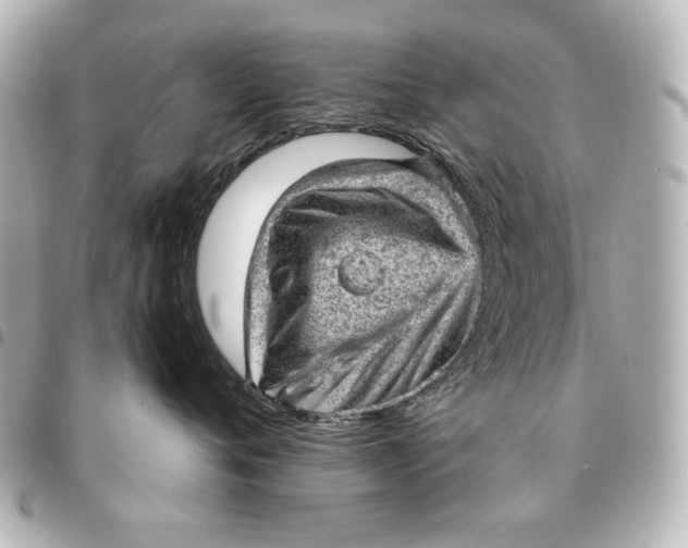 X0000095510720200712281438