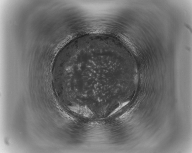 X0000095510721200712281437