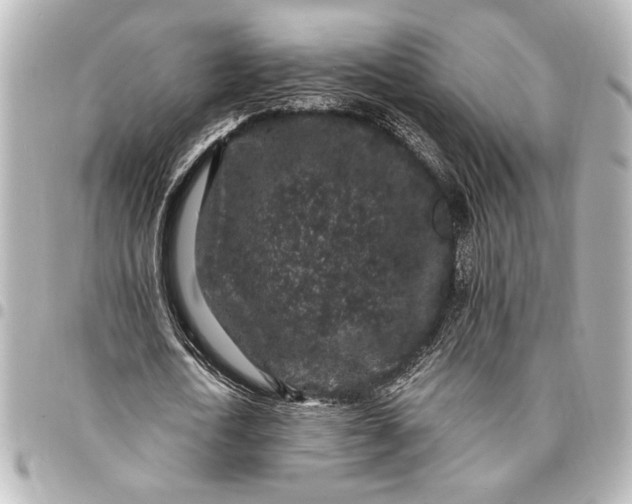 X0000095510722200712281437