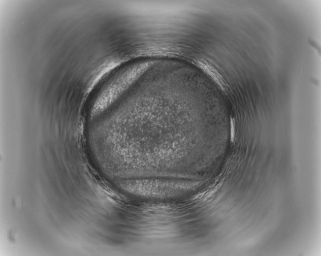 X0000095510723200712281437