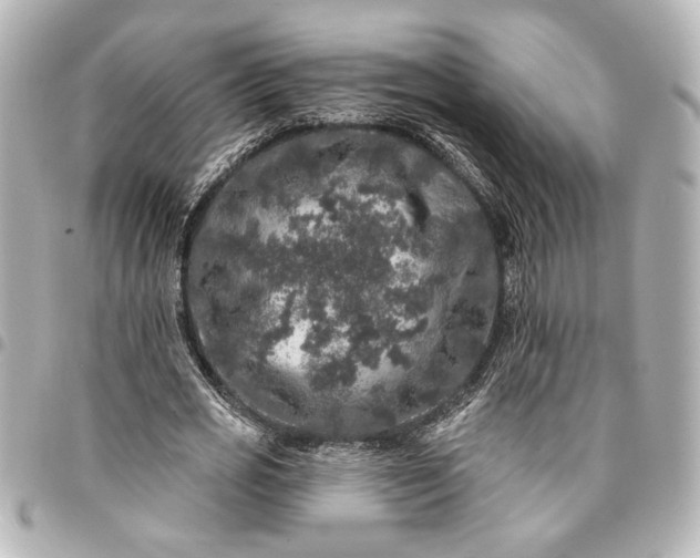 X0000095510725200712281437