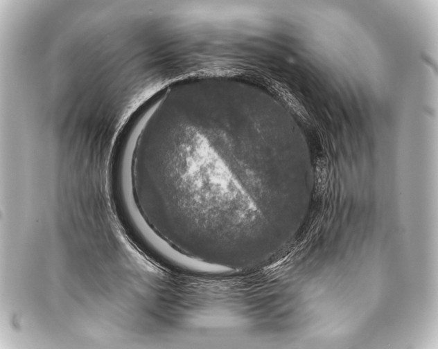 X0000095510726200712281437
