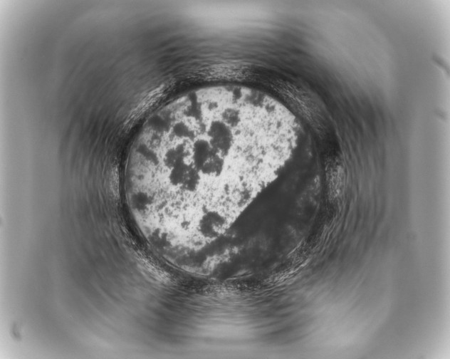 X0000095510729200712281437