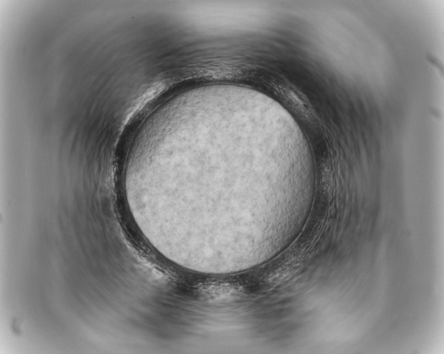 X0000095510730200712281437