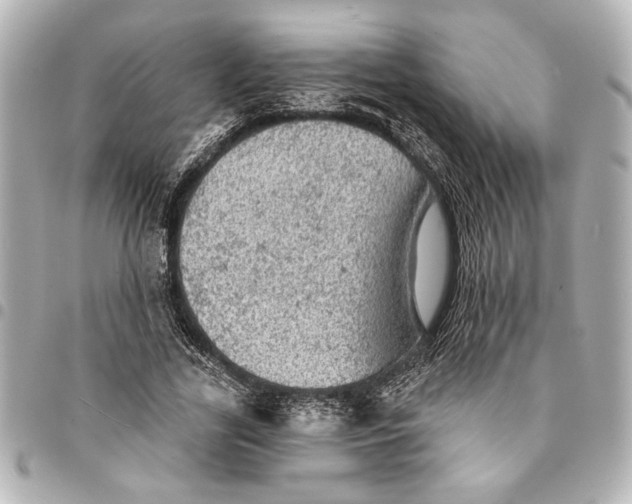 X0000095510731200712281437