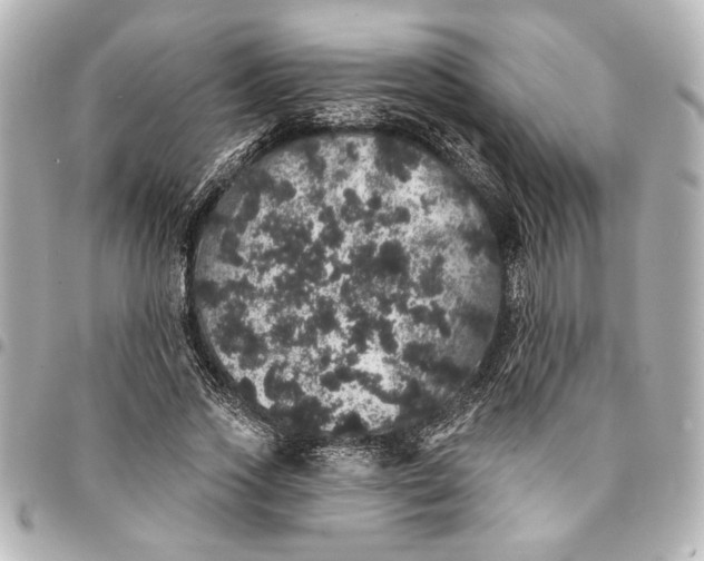 X0000095510733200712281437