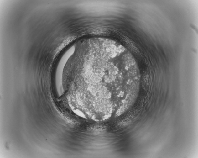 X0000095510734200712281437