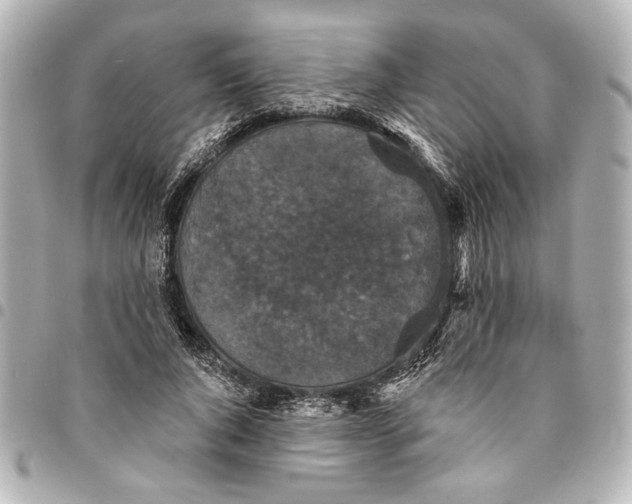 X0000095510736200712281437