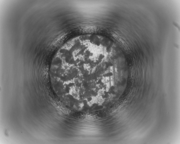 X0000095510737200712281437