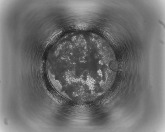 X0000095510738200712281437