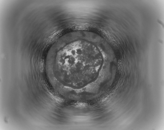 X0000095510741200712281437