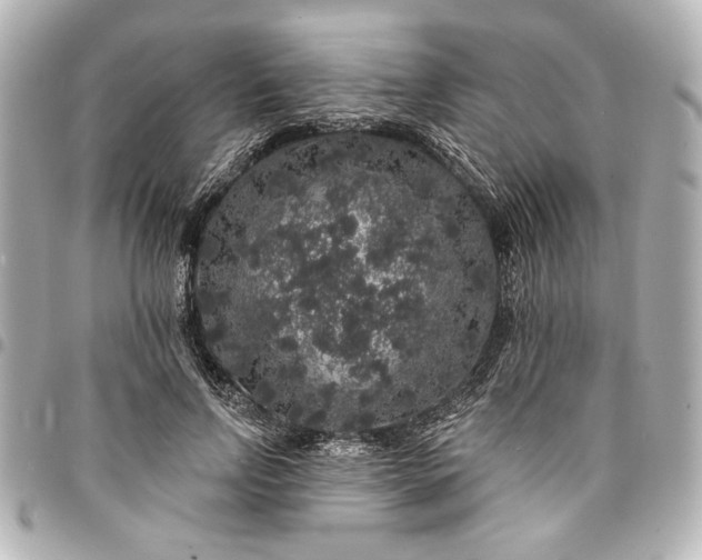 X0000095510742200712281437