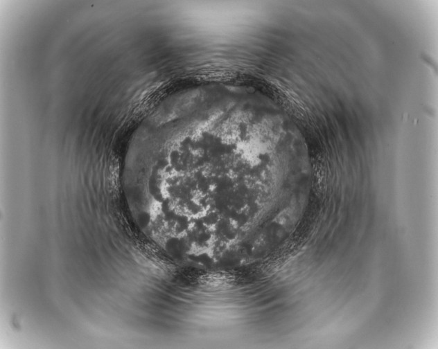 X0000095510745200712281437