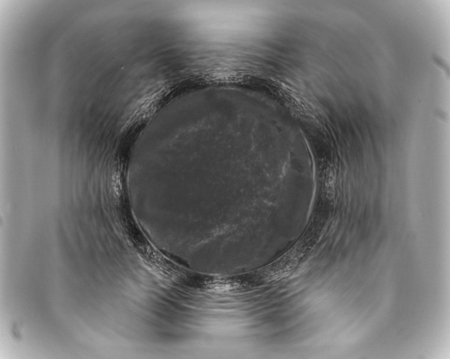 X0000095510746200712281437