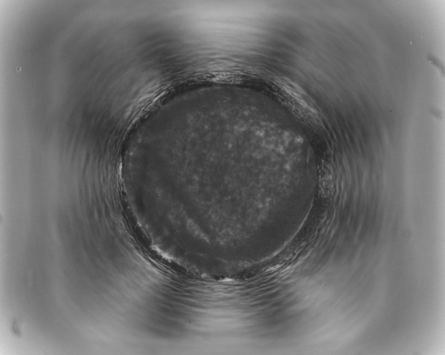 X0000095510748200712281437