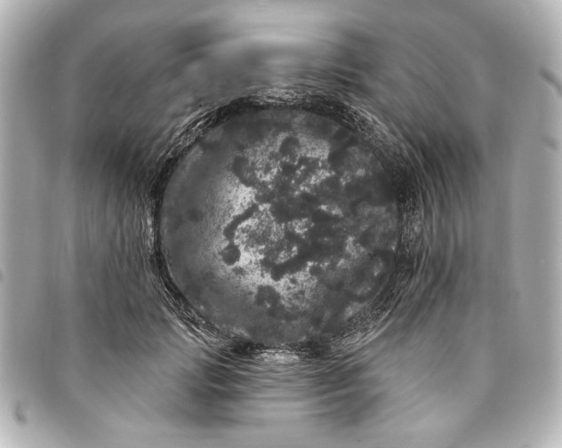 X0000095510749200712281437