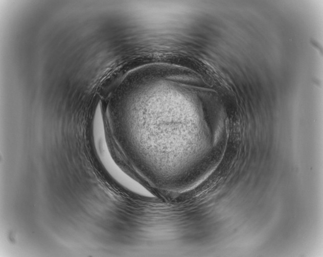 X0000095510750200712281437