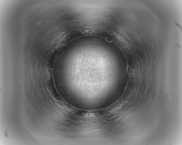 X0000095510751200712281437
