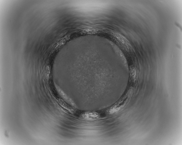 X0000095510752200712281437