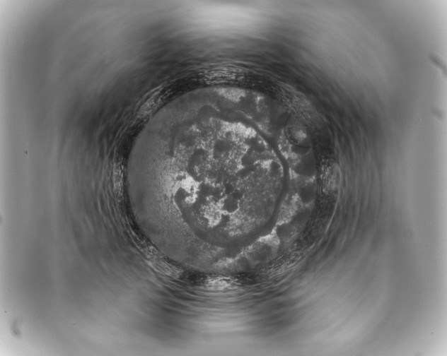 X0000095510753200712281437