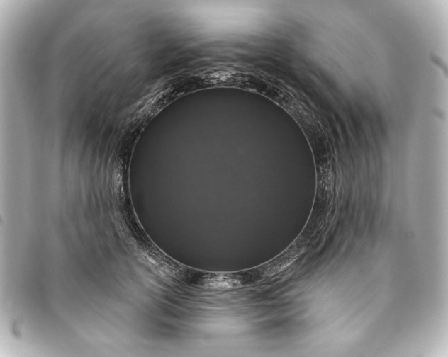 X0000095510754200712281437