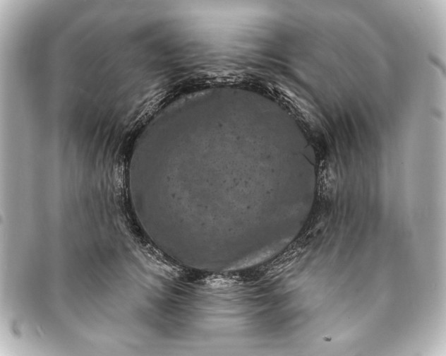 X0000095510756200712281437
